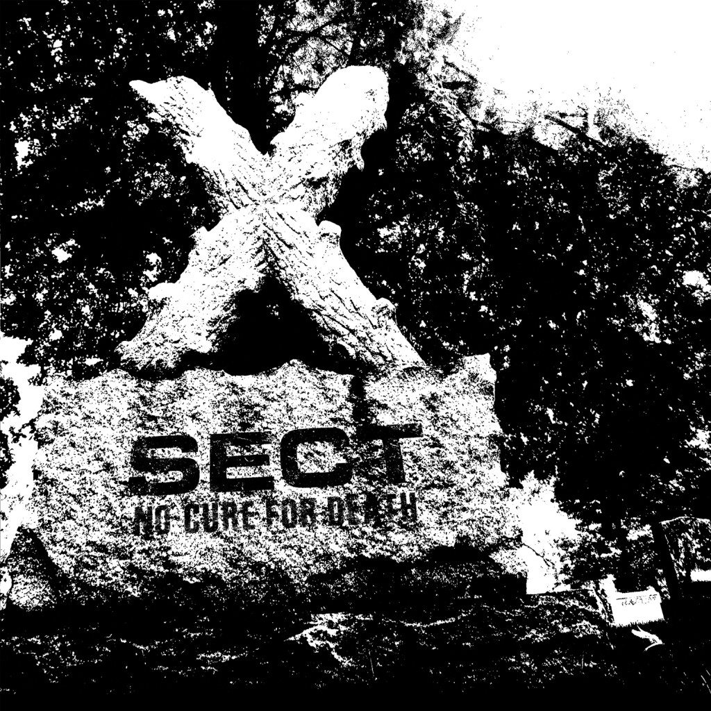 SECT cover-web