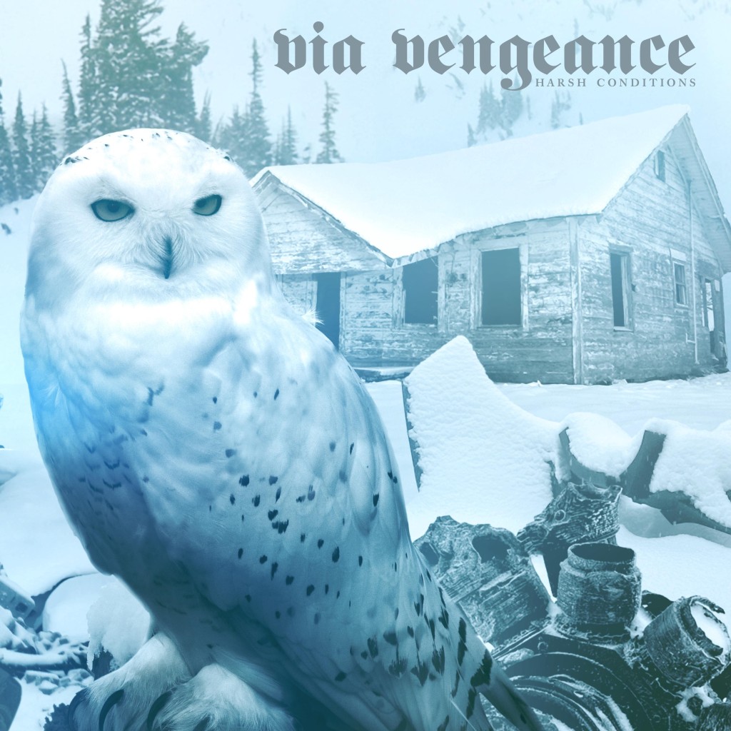 via vengeance-cover