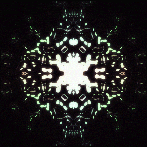 giphy