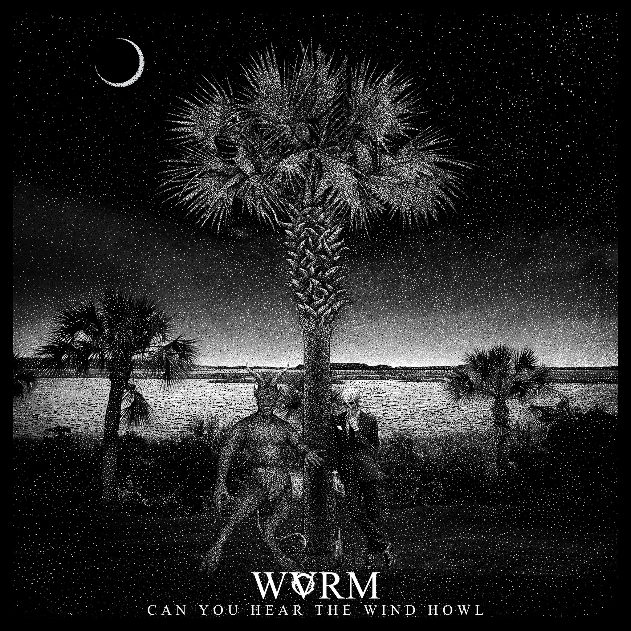 WVRM Can You Hear The Wind Howl