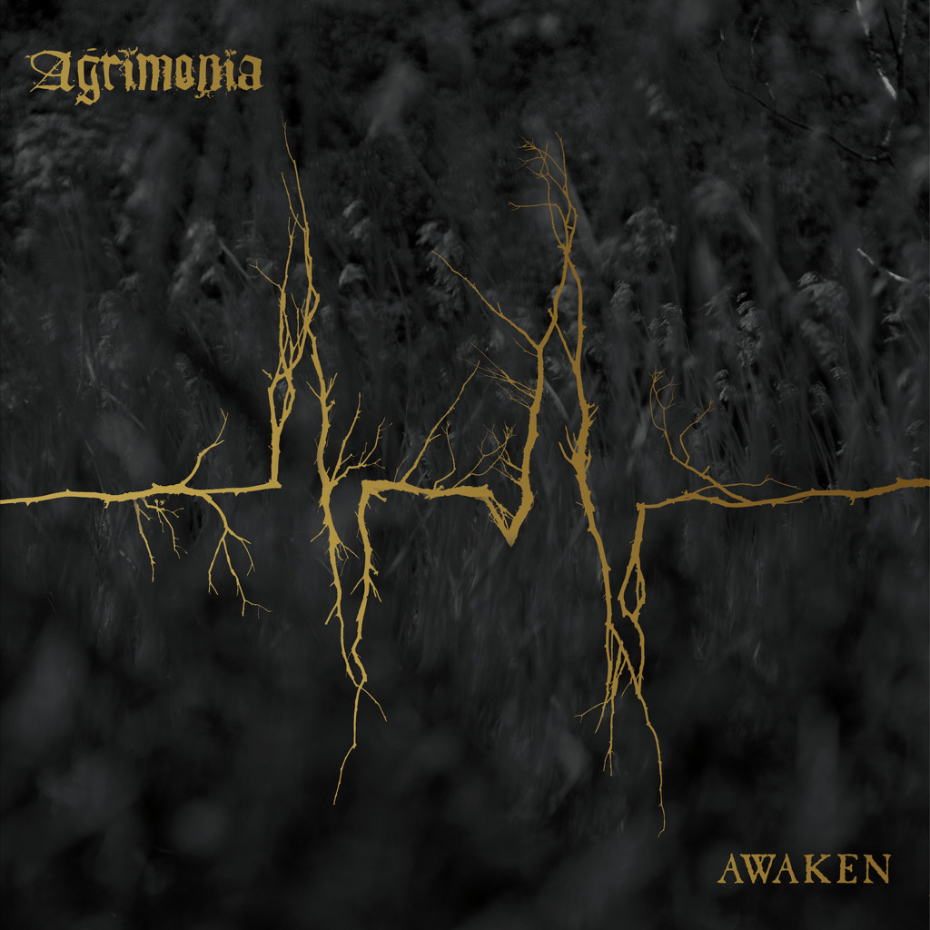 Agrimonia Awaken album cover